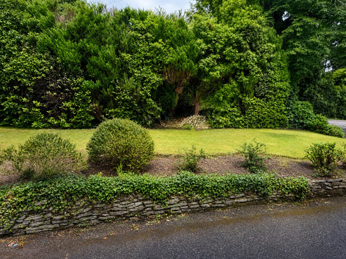 Lower Parkstone, Poole