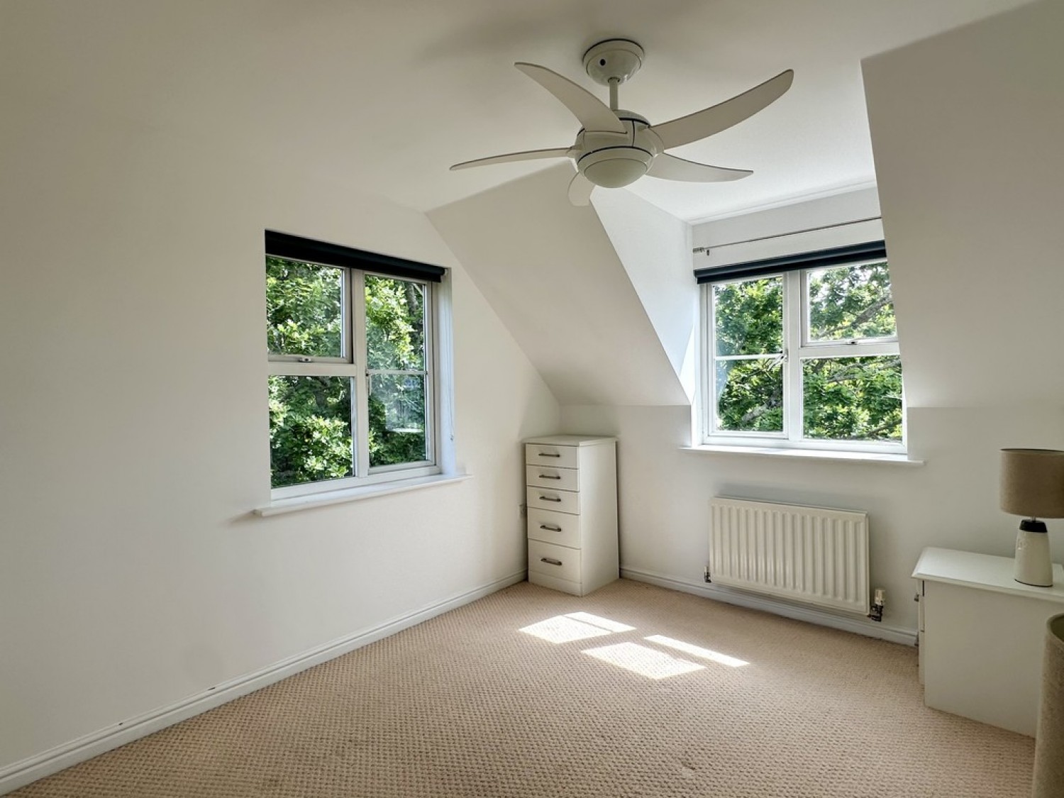 Alder Heights, Poole