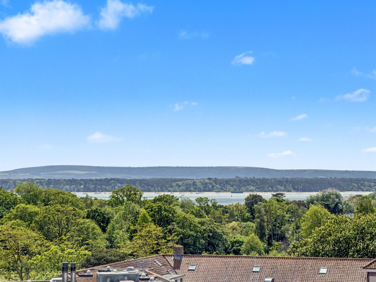 The Cosmopolitan, Lower Parkstone
