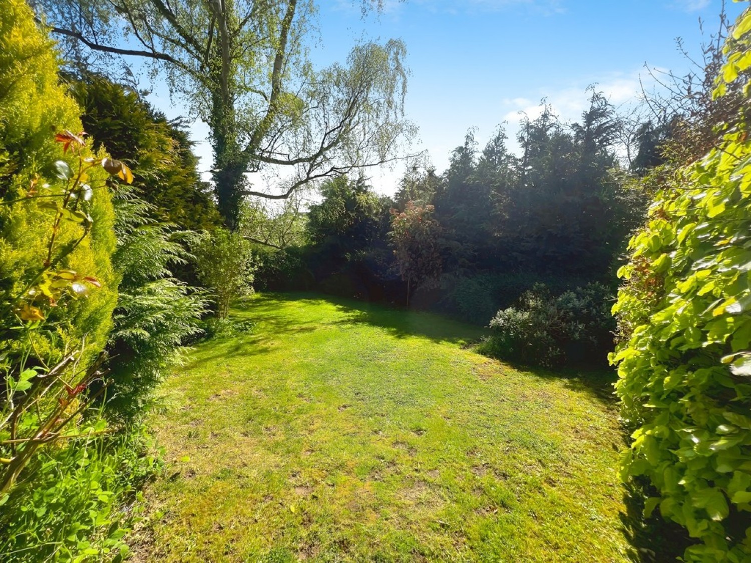 Hillview Road, Canterbury