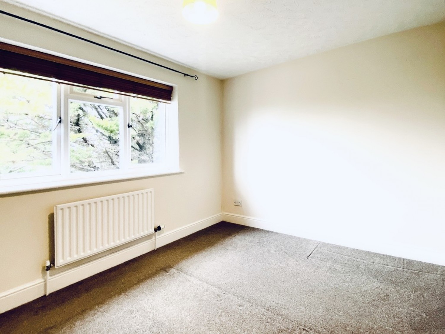 Chineham Way, Canterbury