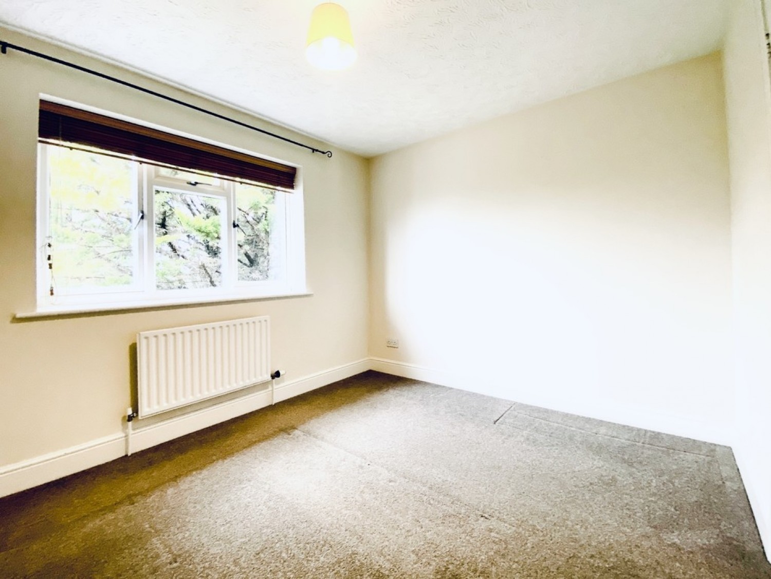 Chineham Way, Canterbury