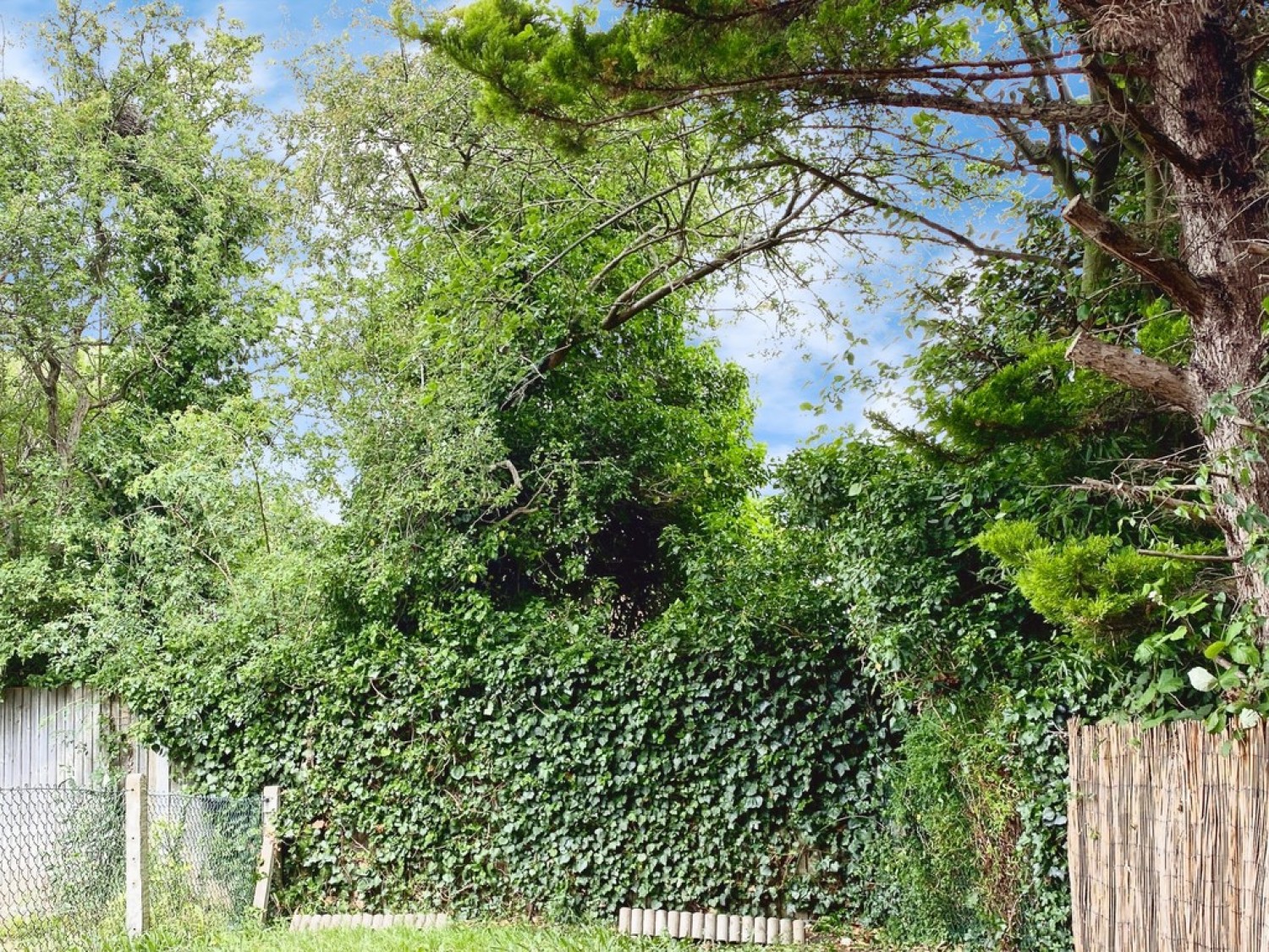 Chineham Way, Canterbury