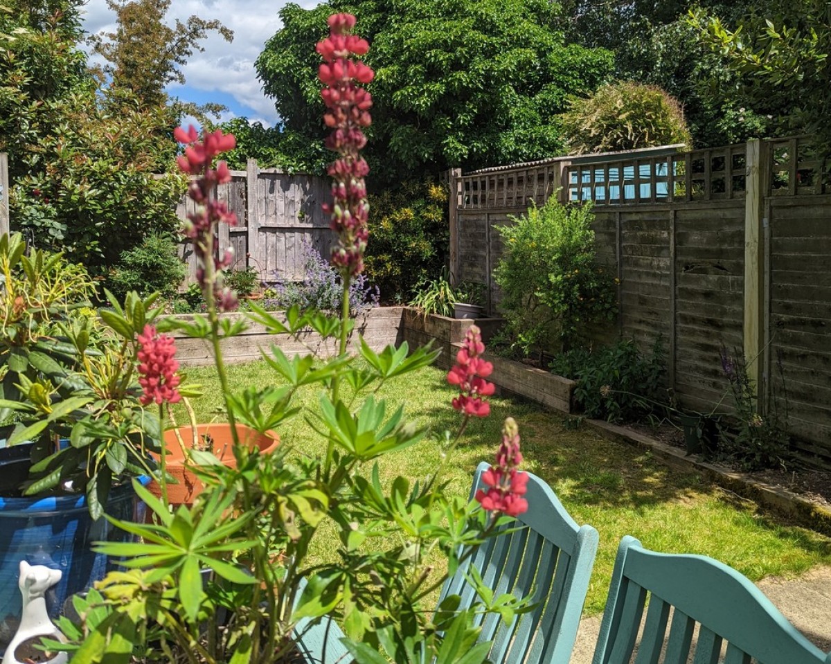 Cossington Road, Canterbury