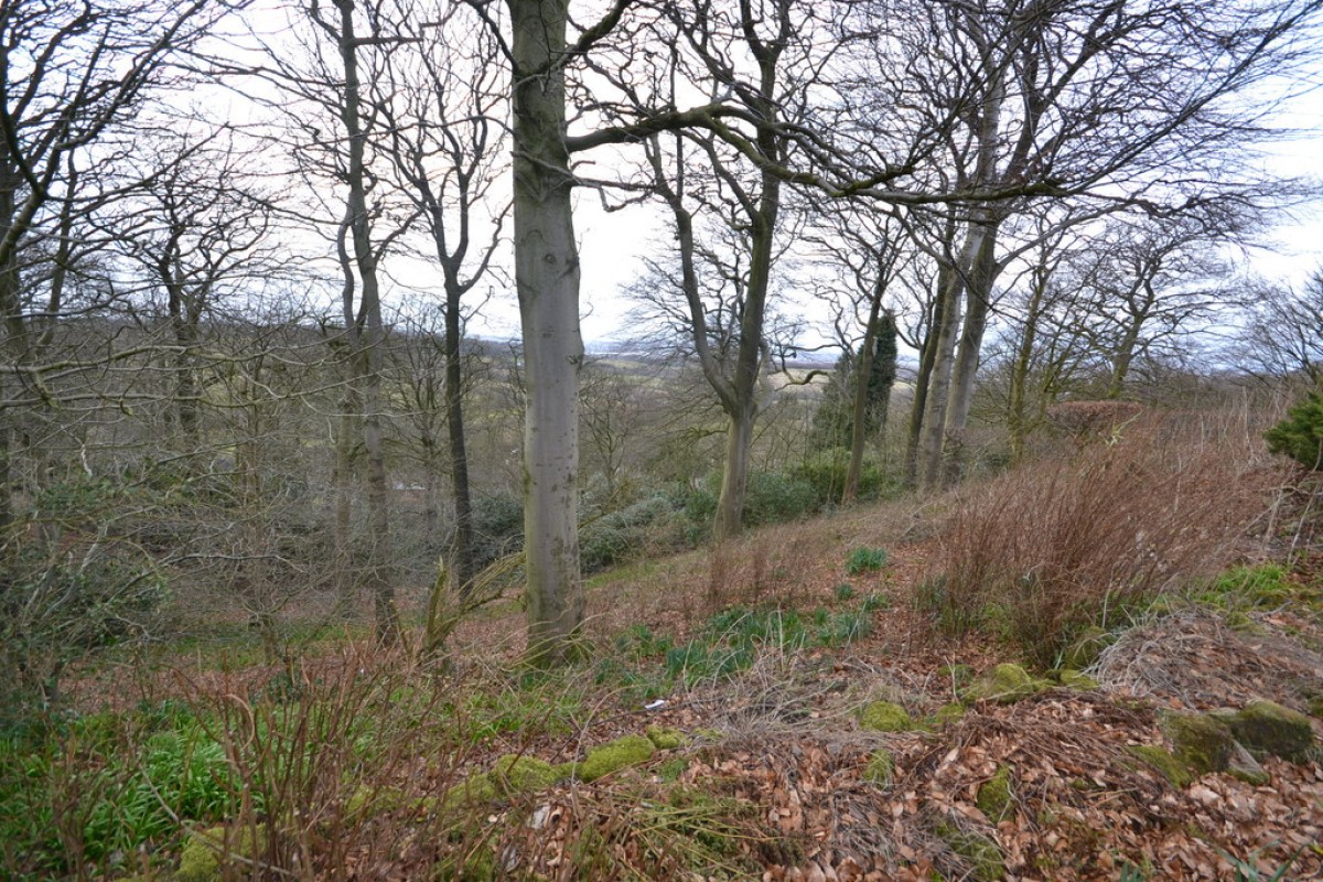 Heathfield Grove, Meir Heath