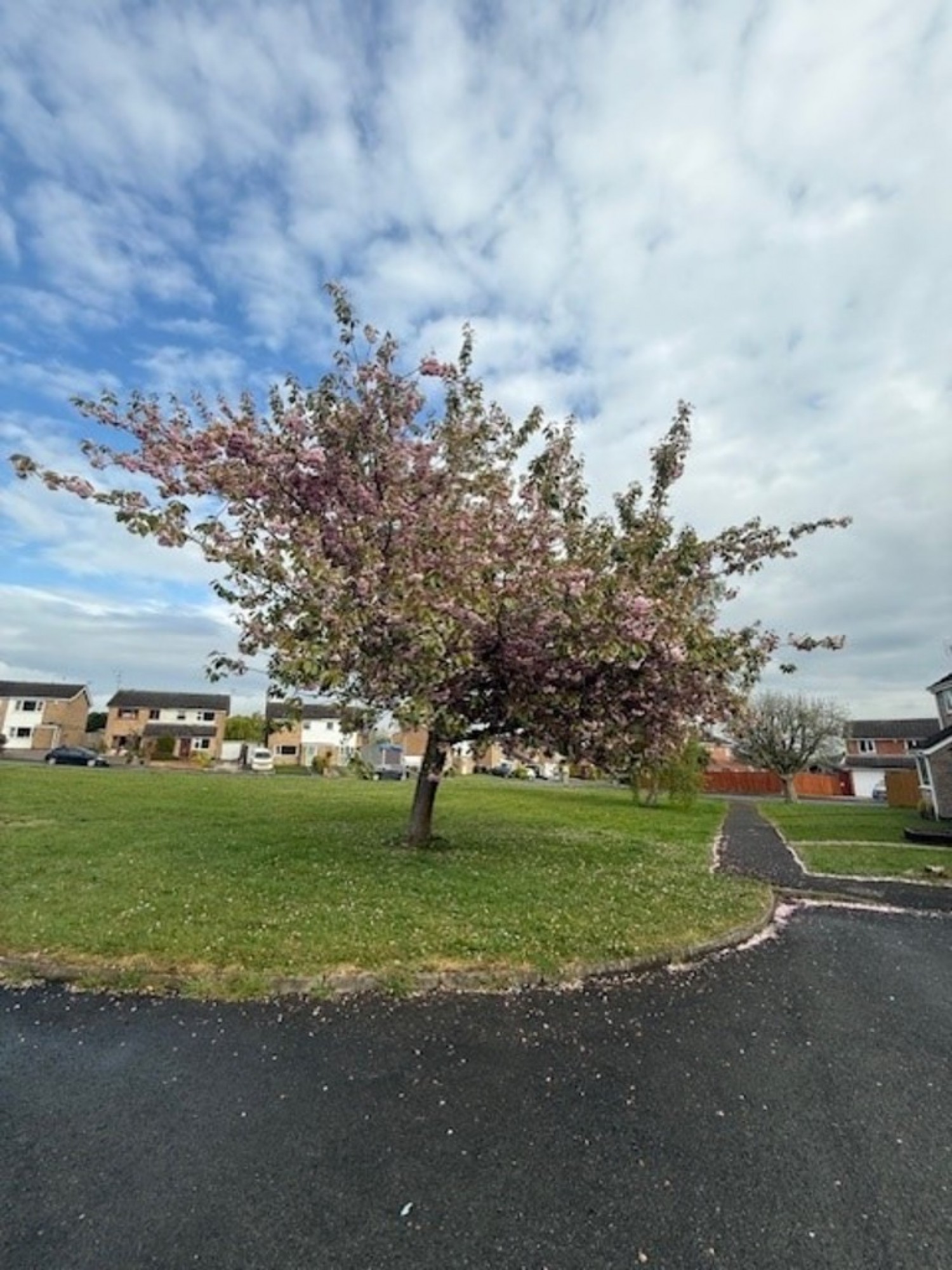 Bedford Close, Grantham