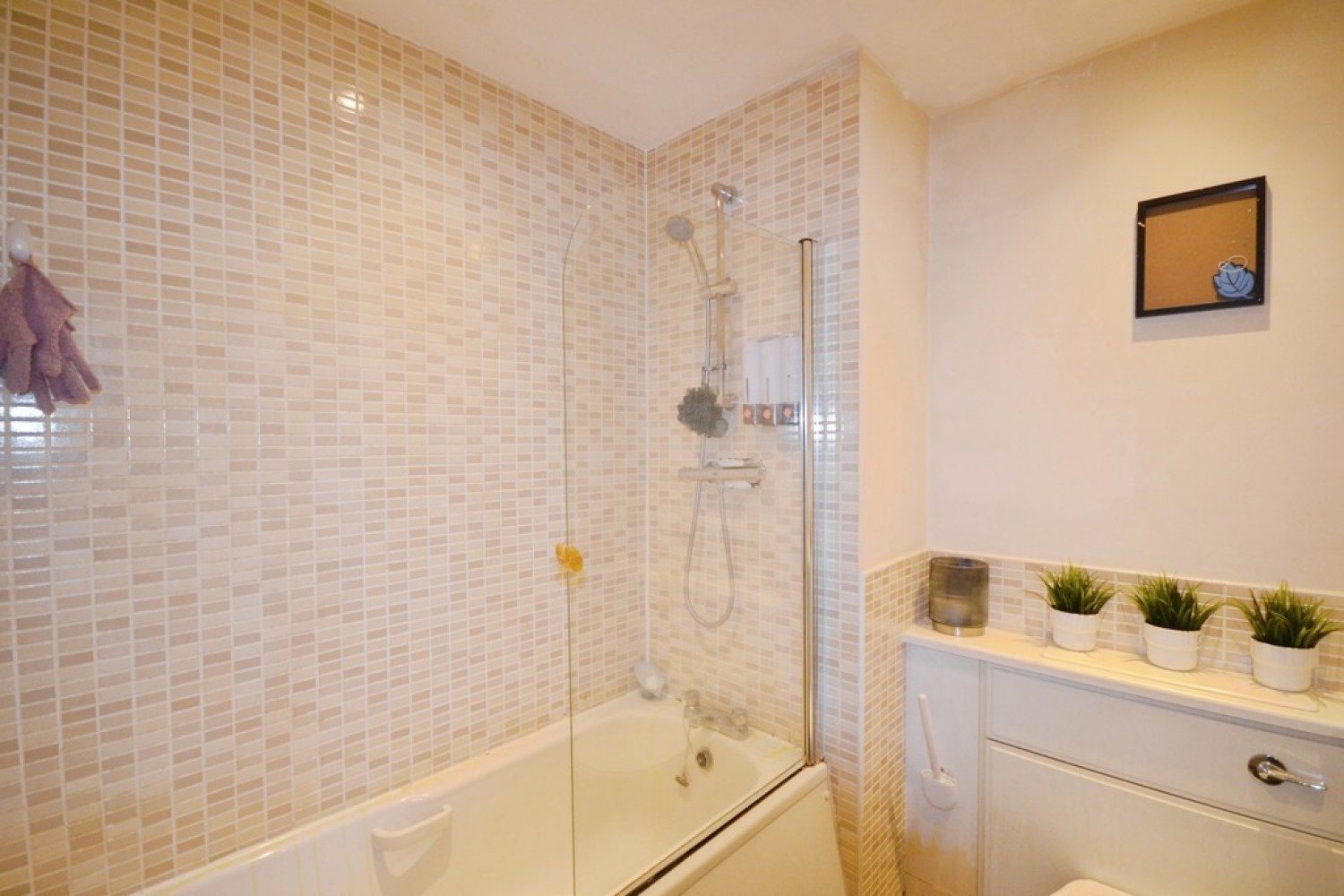 Apartment 3, 37 Blackbird Road