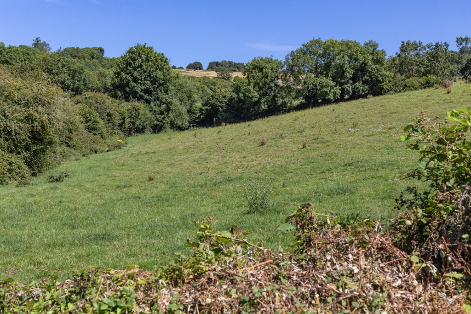 Greenacres, Upper Weston, Bath