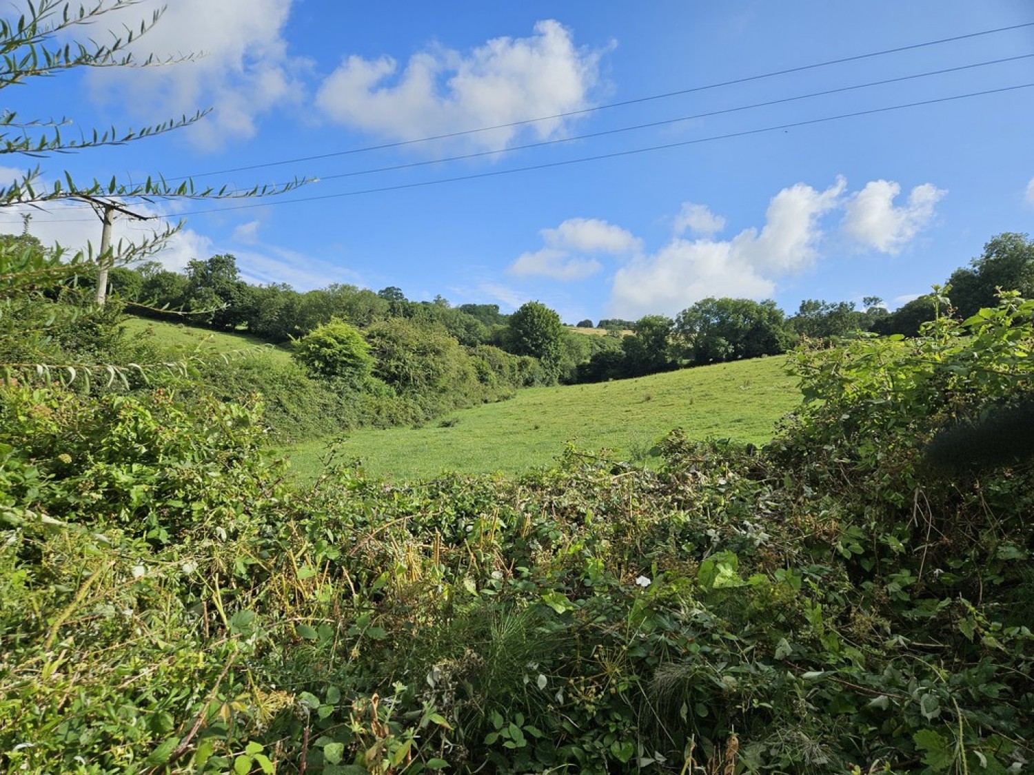 Greenacres, Upper Weston, Bath