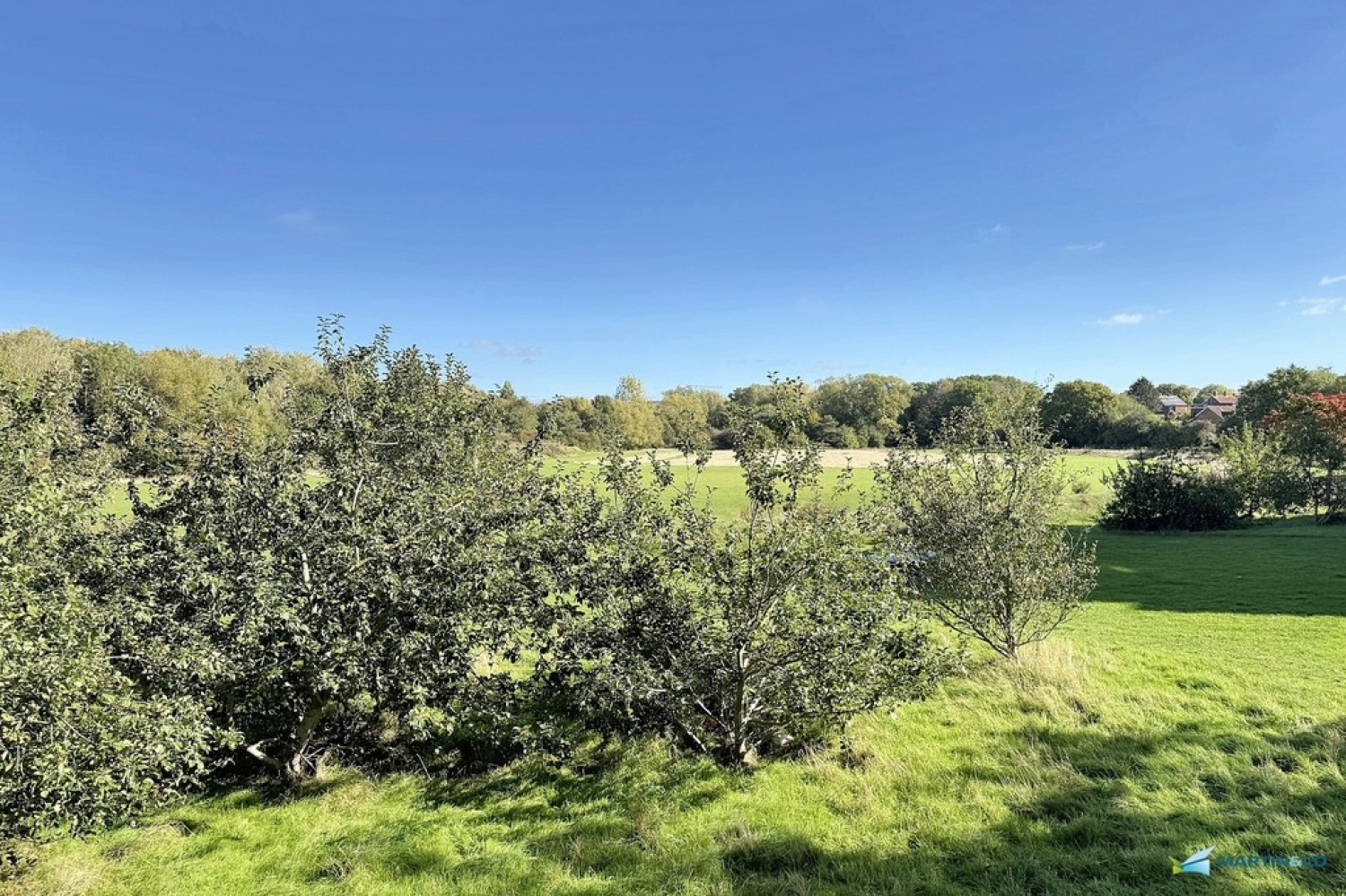 Cressfield, Ashford