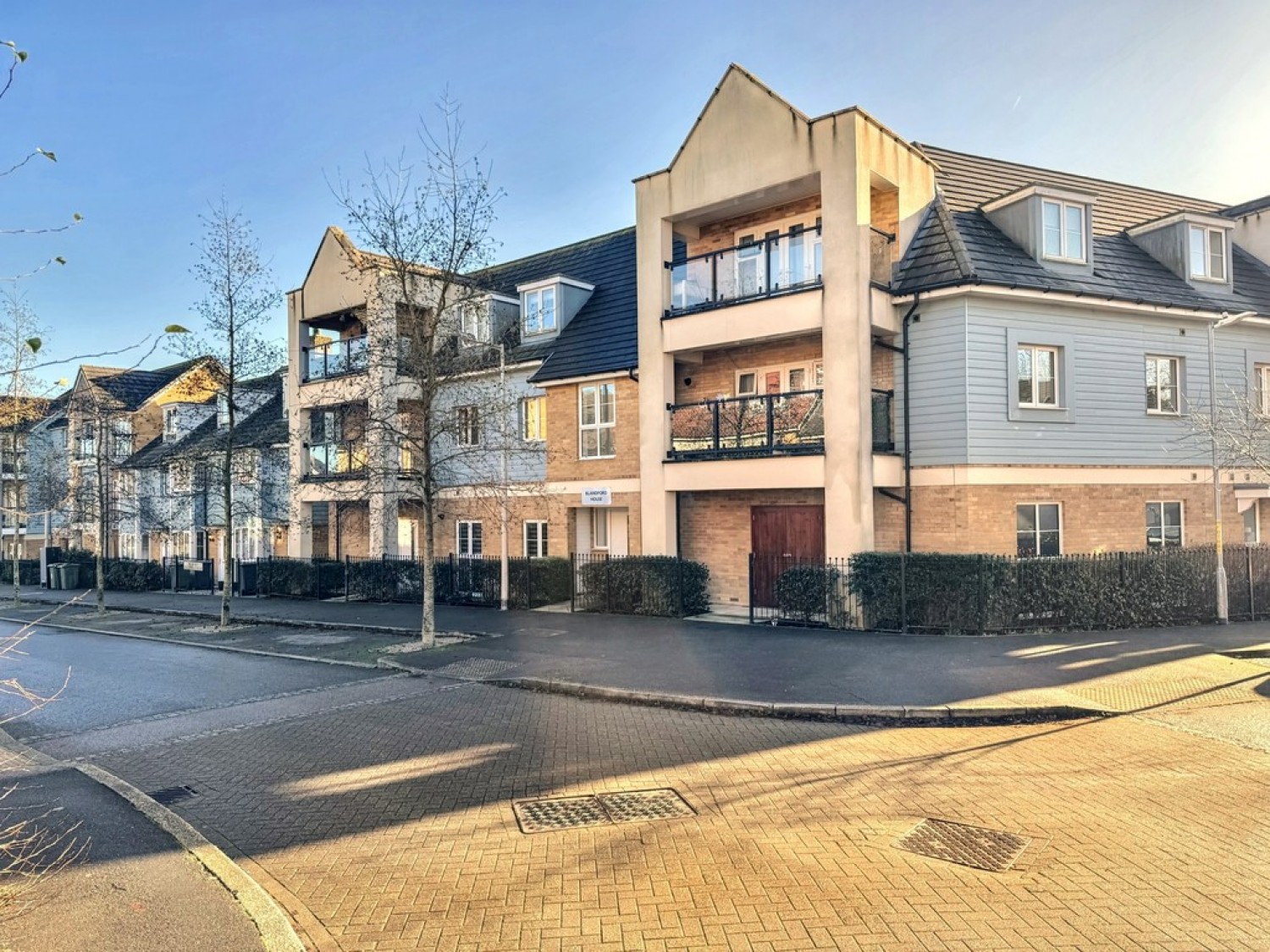 Sir Henry Brackenbury Road, Repton Park