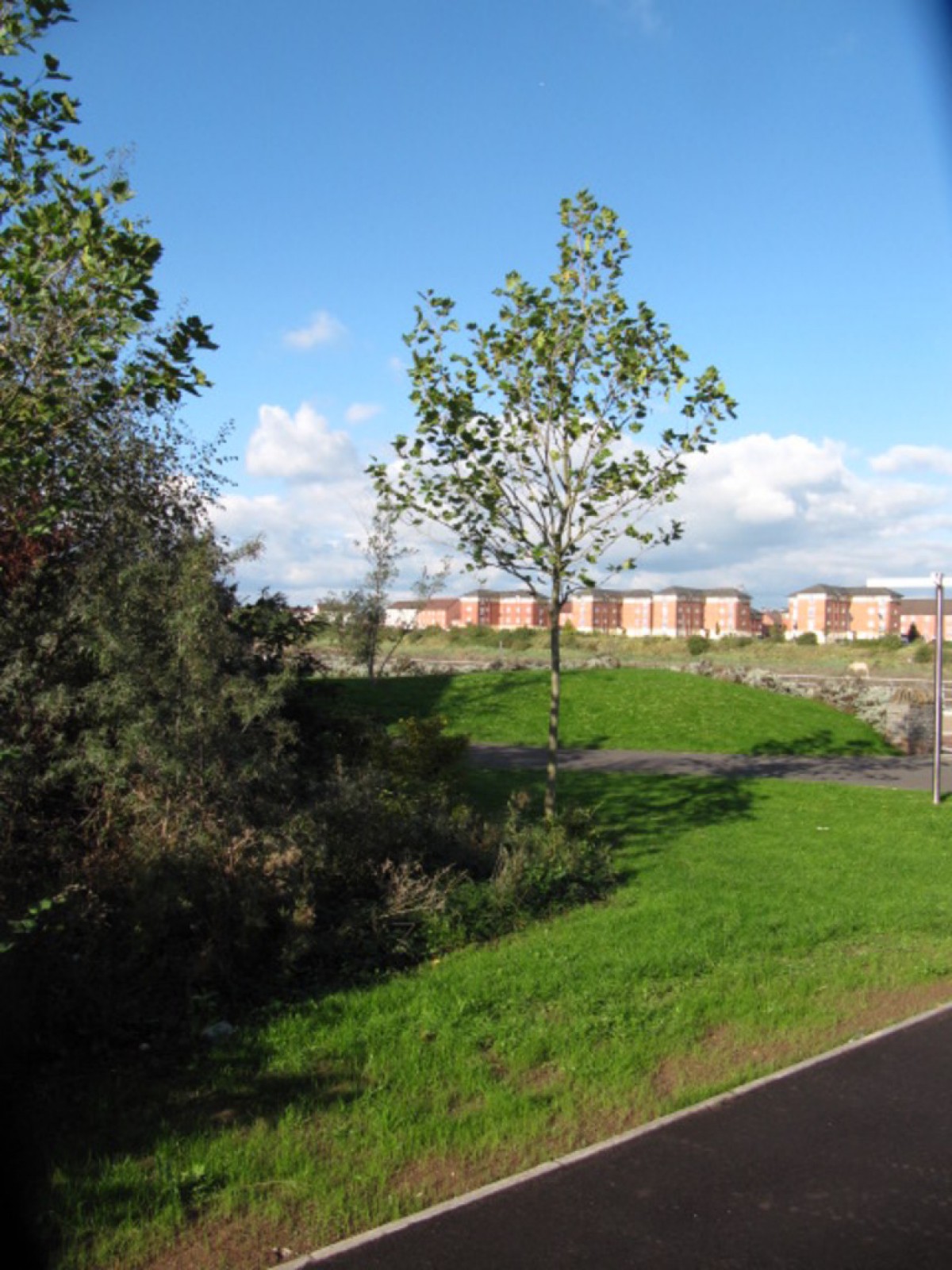Alicia Close , Alexandra Gate, Newport