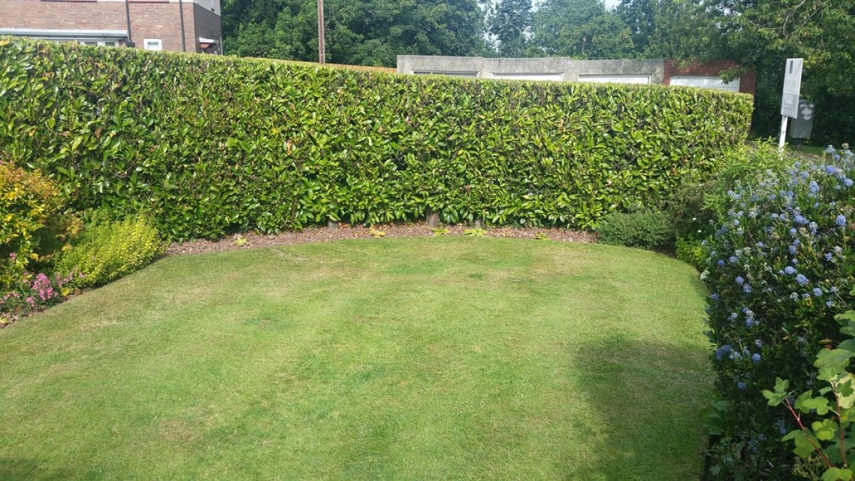 Brynglas Avenue, Newport
