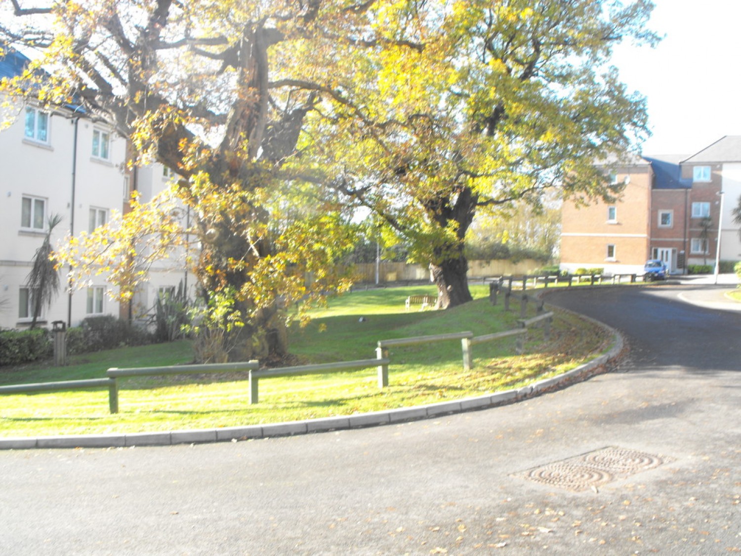 Primrose House, Golden Mile View
