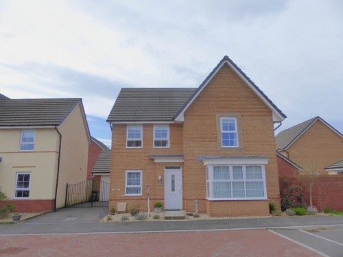 Hedgehog Rd, Newport