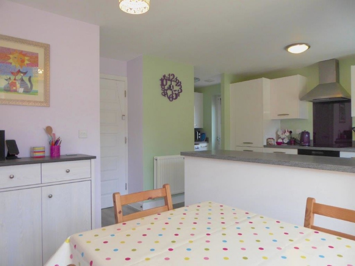 Hedgehog Rd, Newport