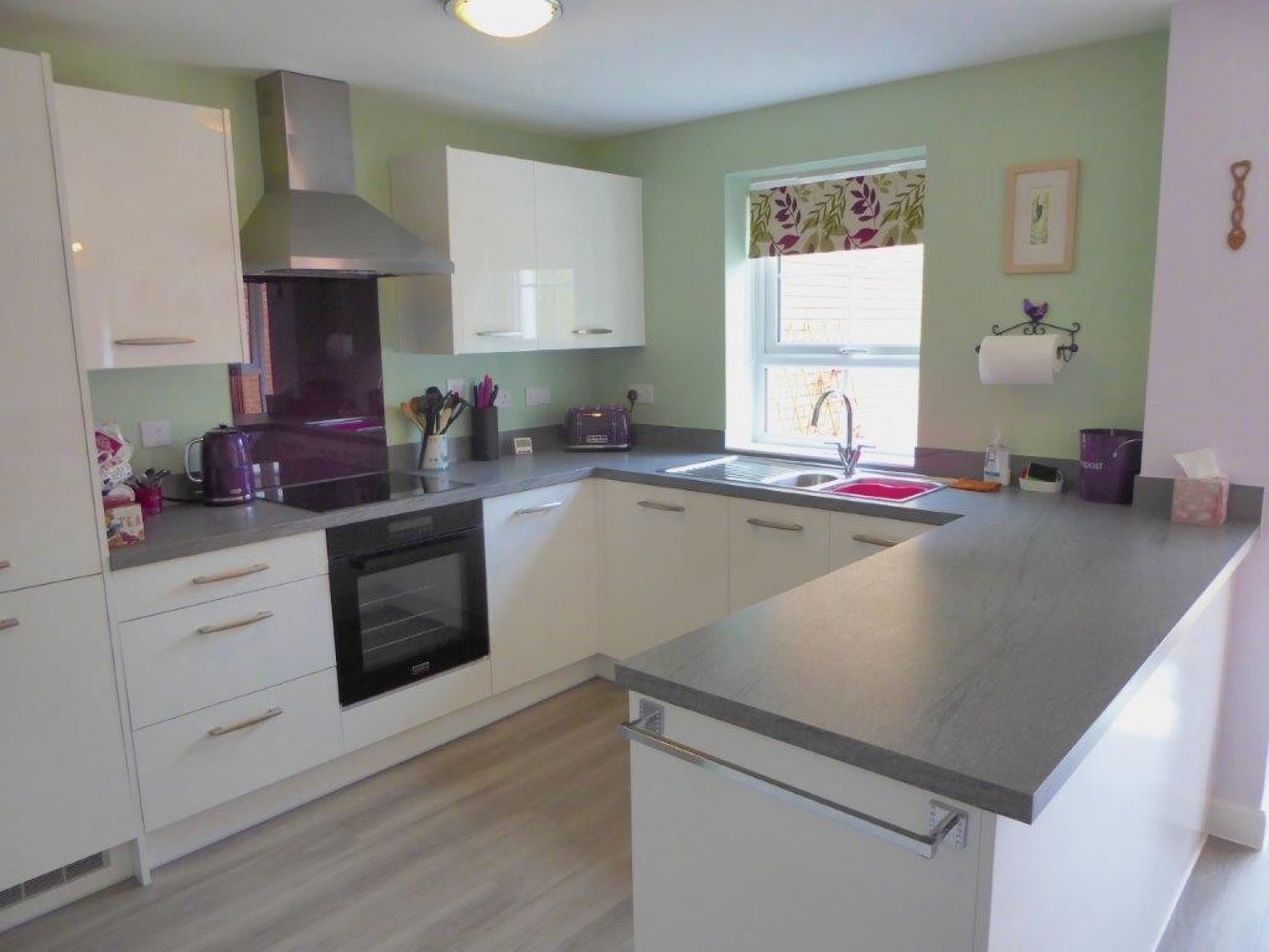 Hedgehog Rd, Newport