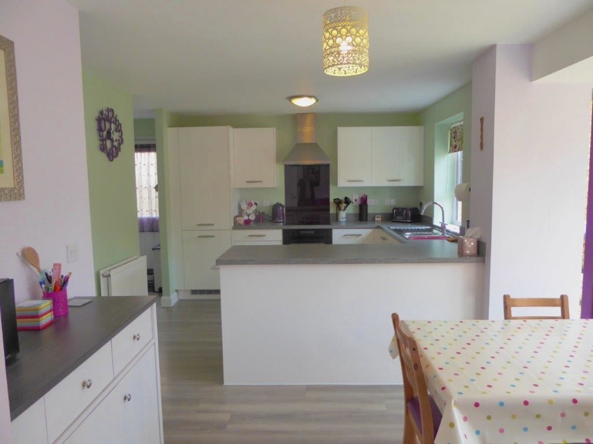 Hedgehog Rd, Newport