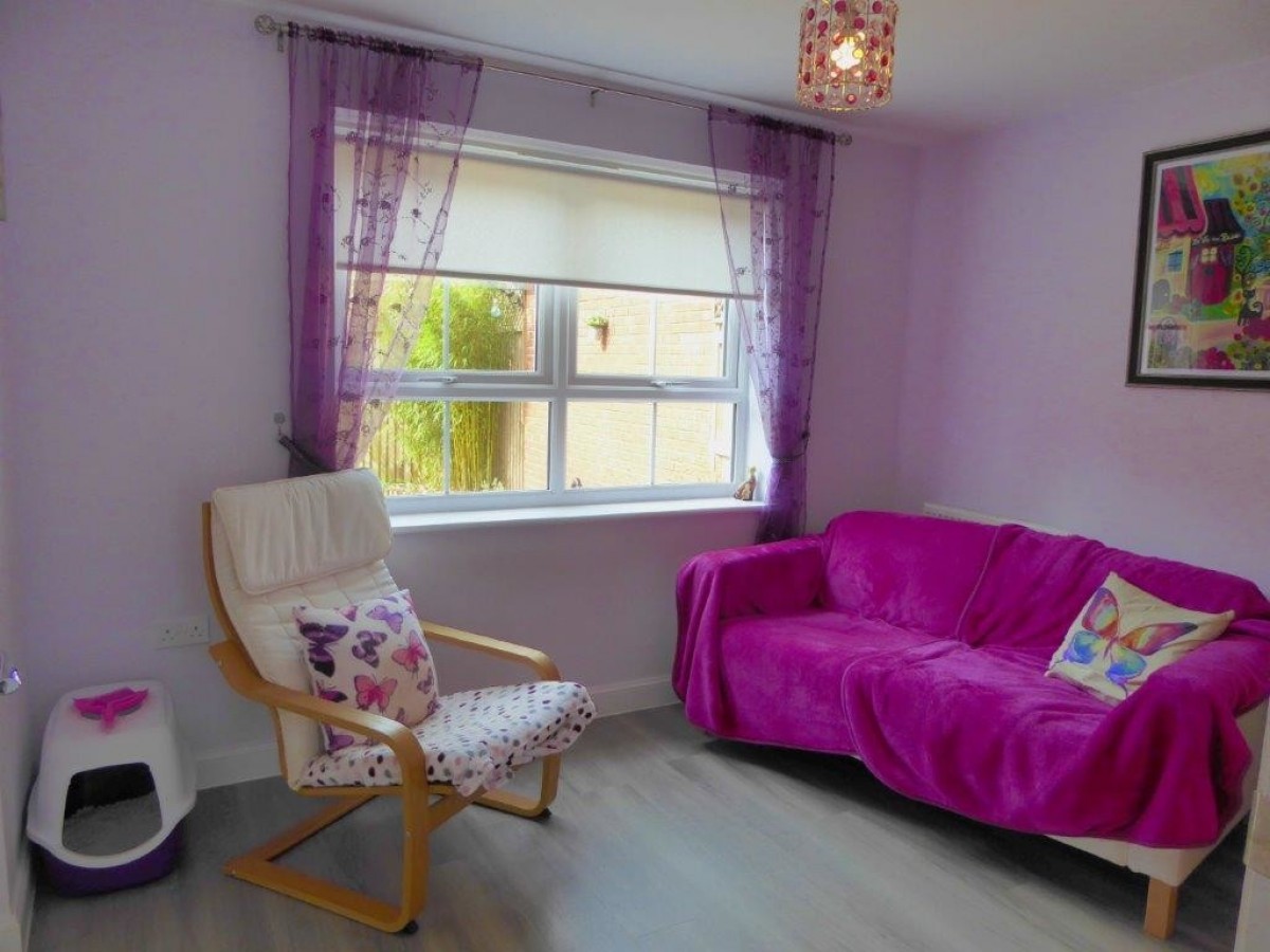 Hedgehog Rd, Newport