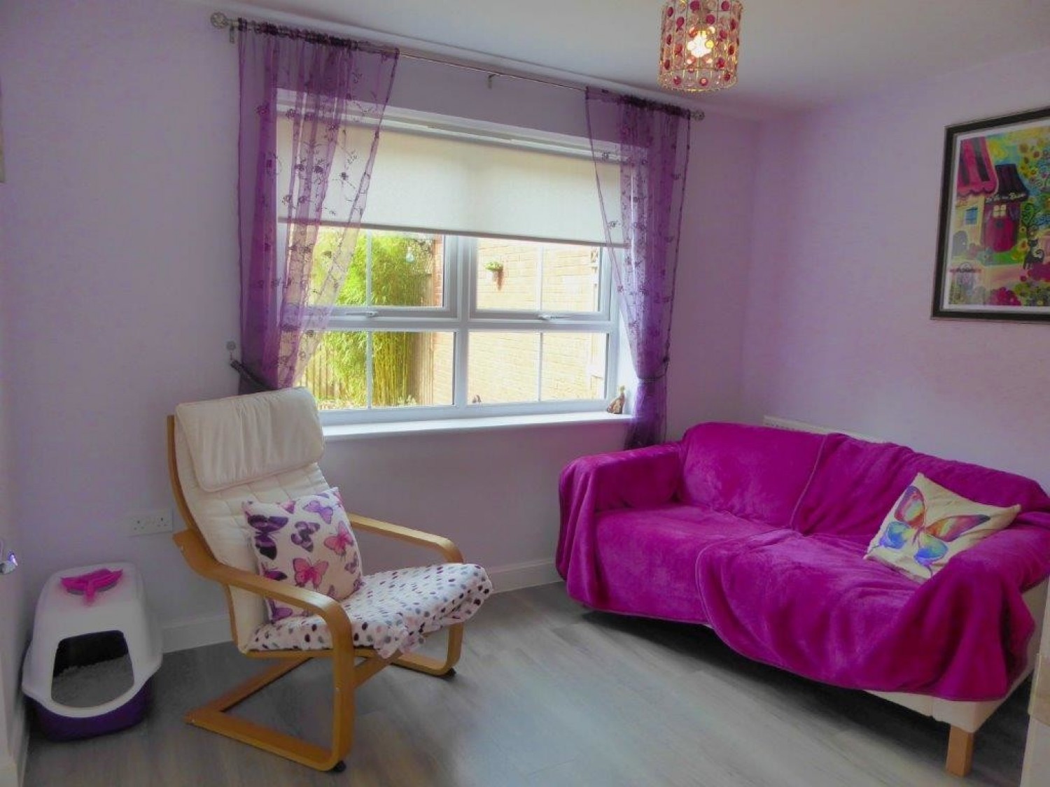 Hedgehog Rd, Newport