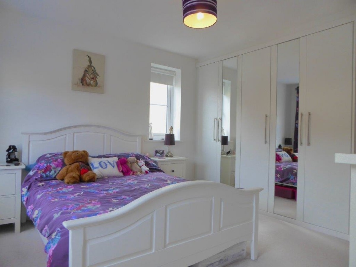 Hedgehog Rd, Newport