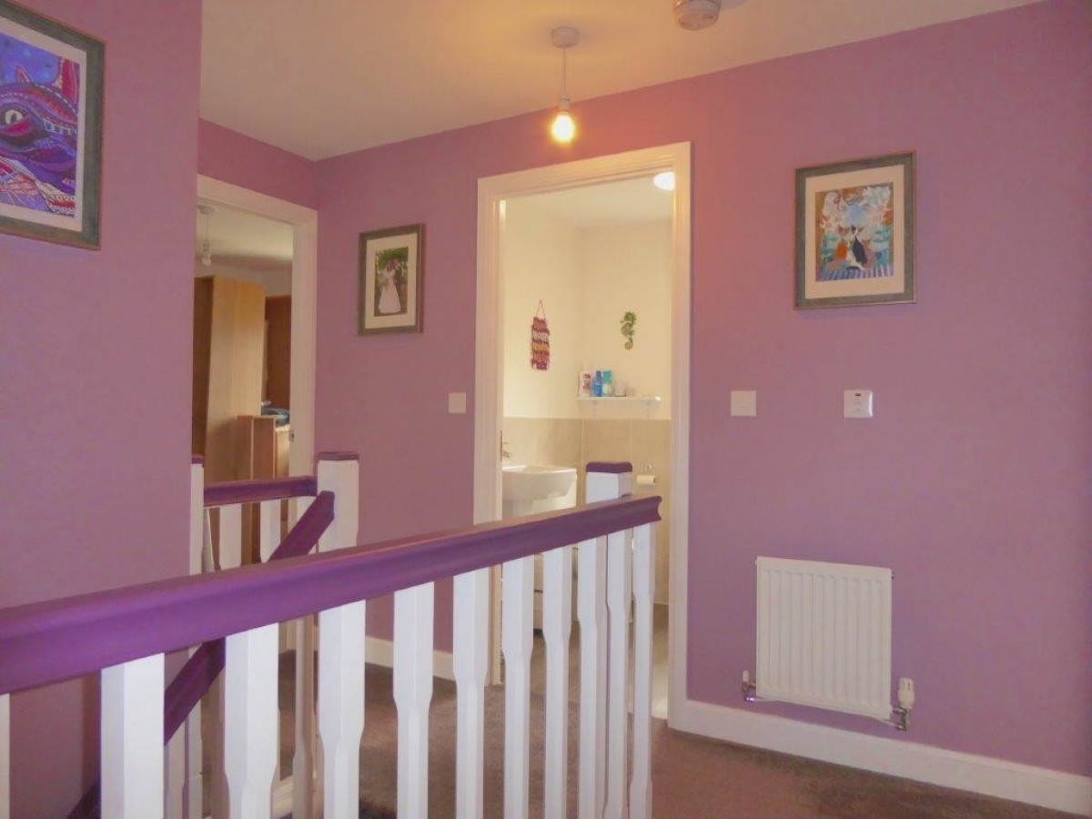 Hedgehog Rd, Newport