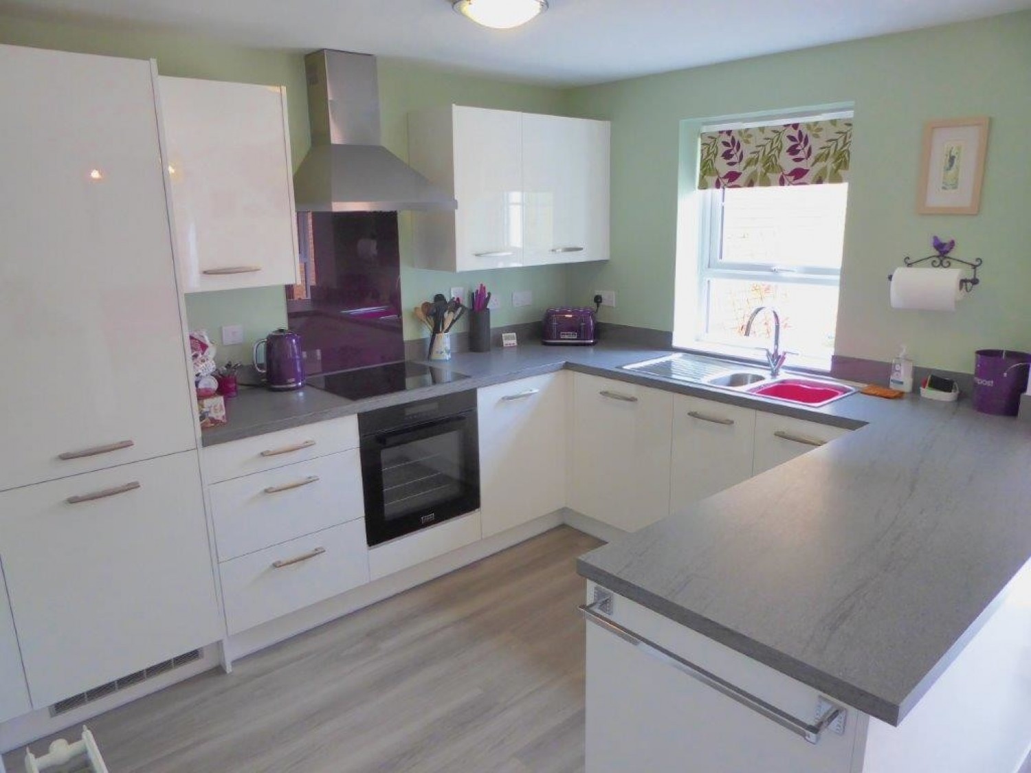 Hedgehog Rd, Newport