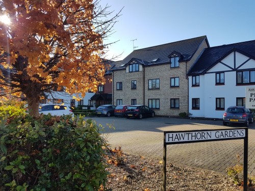 Hawthorn Gardens, Caerleon