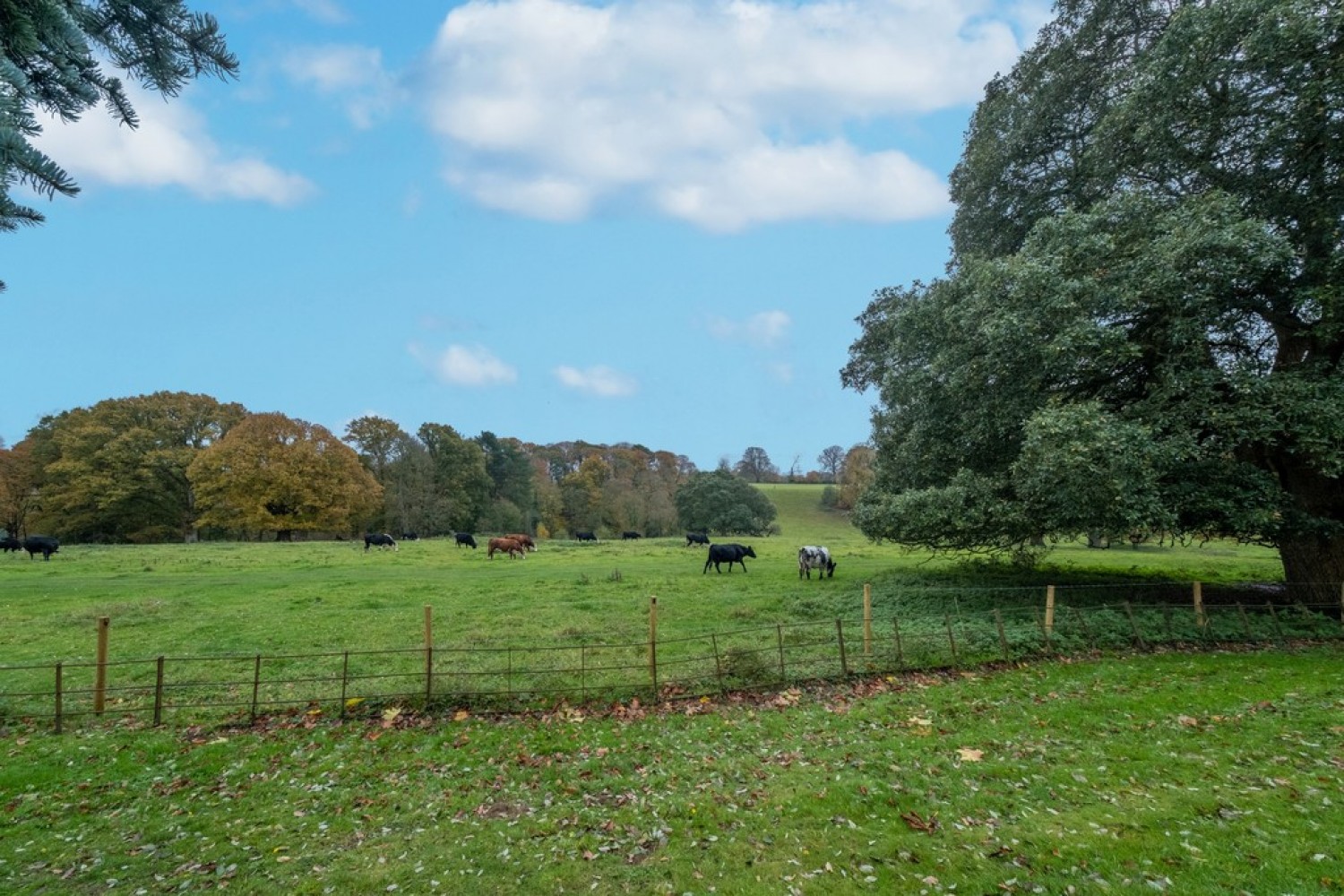 Aldon House, Yeovil
