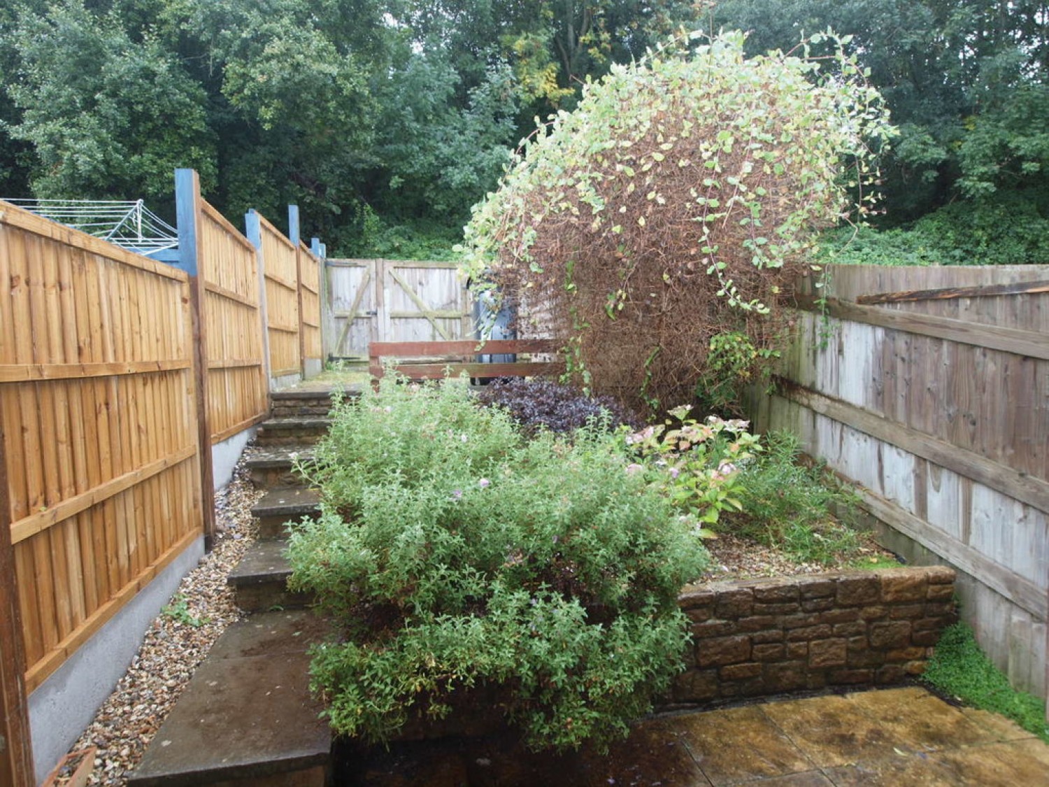 2 bedroom House for Letting Beechwood, Yeovil