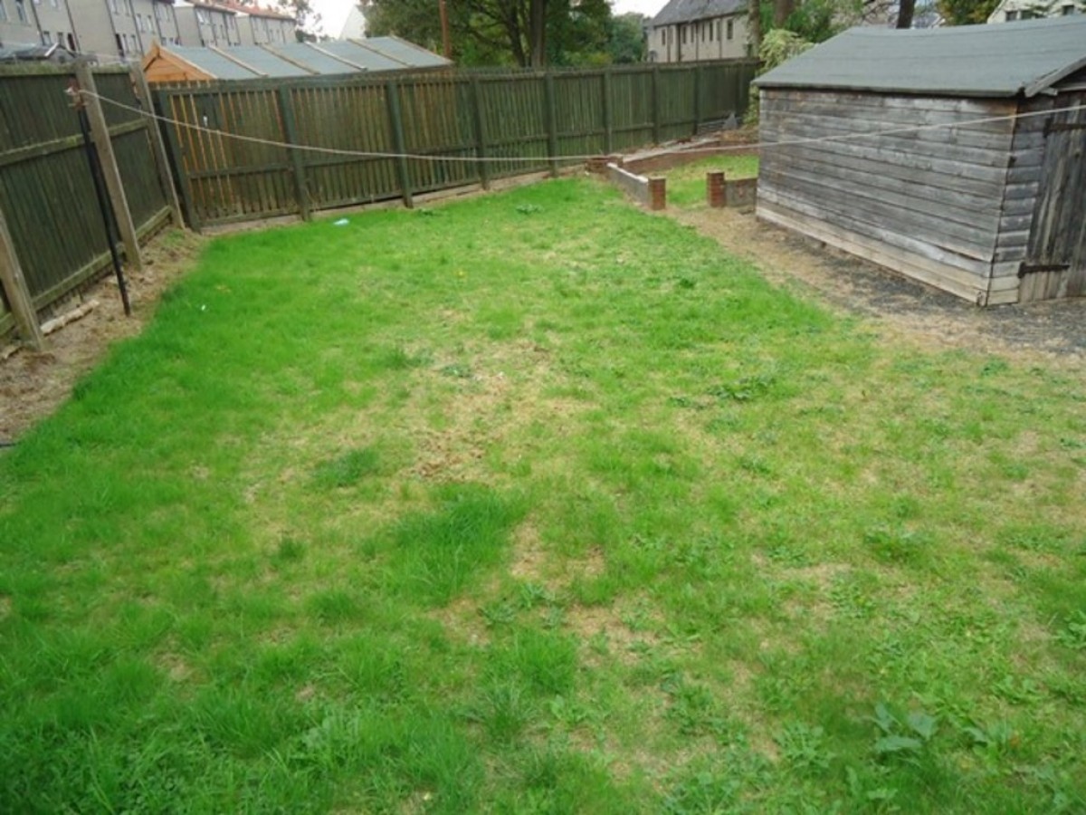 Thistle Street, Alloa, Clackmannanshire