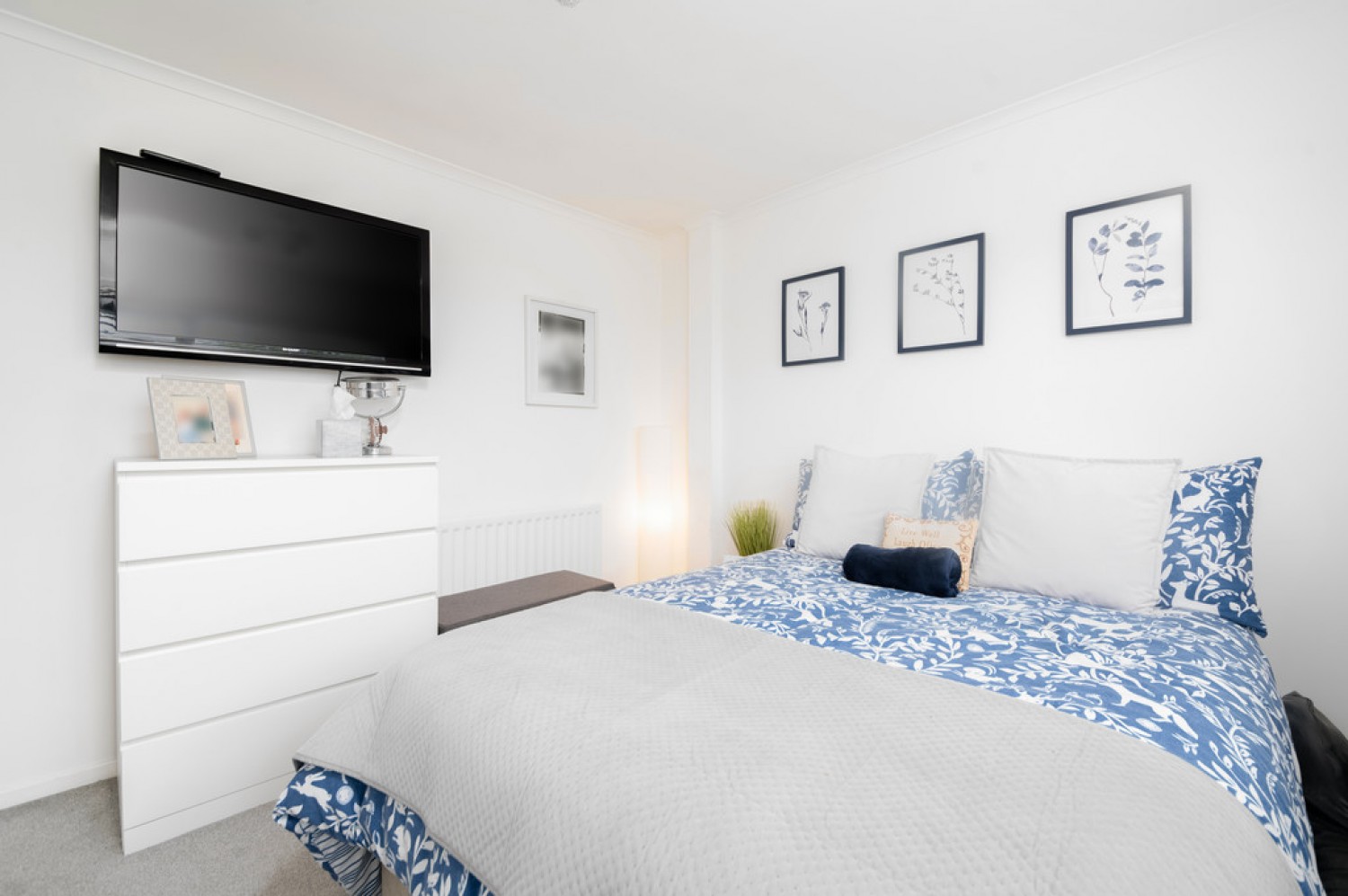Carse Terrace, Alloa, FK10
