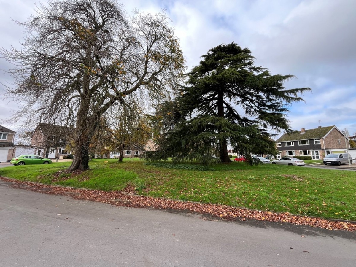 Court Gardens, Hempsted , Gloucester