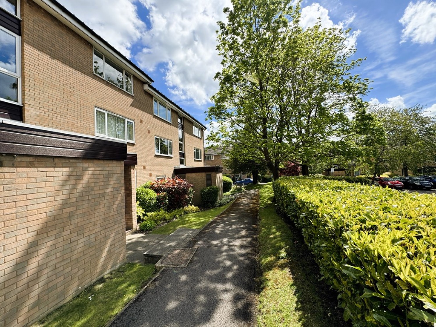 1 bedroom Flat for Letting Park Hill, East Croydon, Surrey