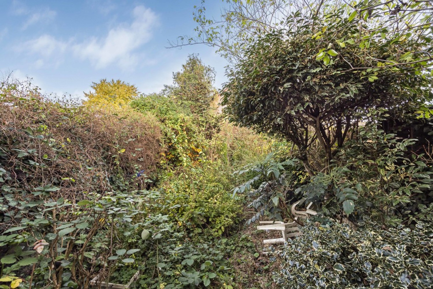 Windermere Road, SW16