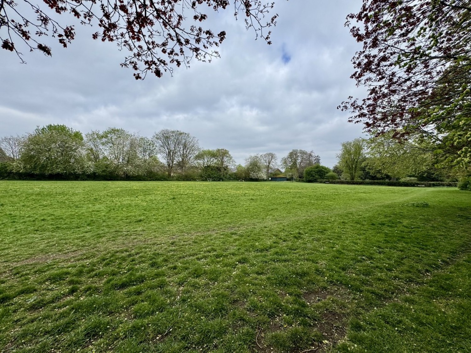 Blenheim Crescent, South Croydon