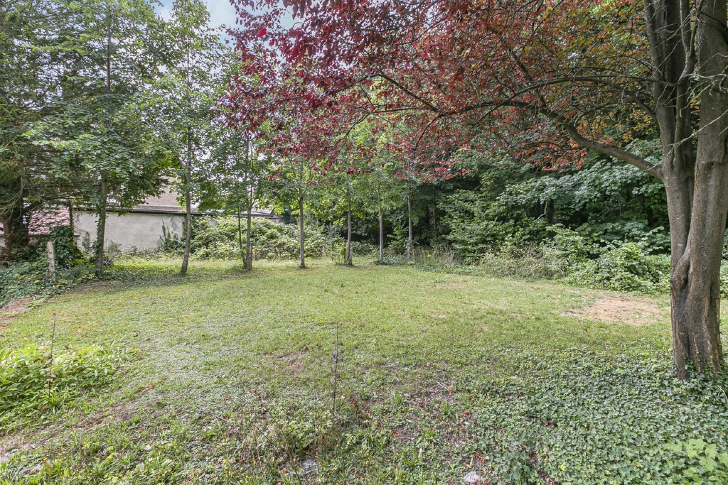 Boxridge Avenue, Purley