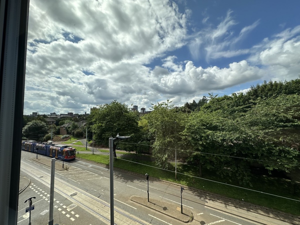 Sovereign Point, Hillsborough