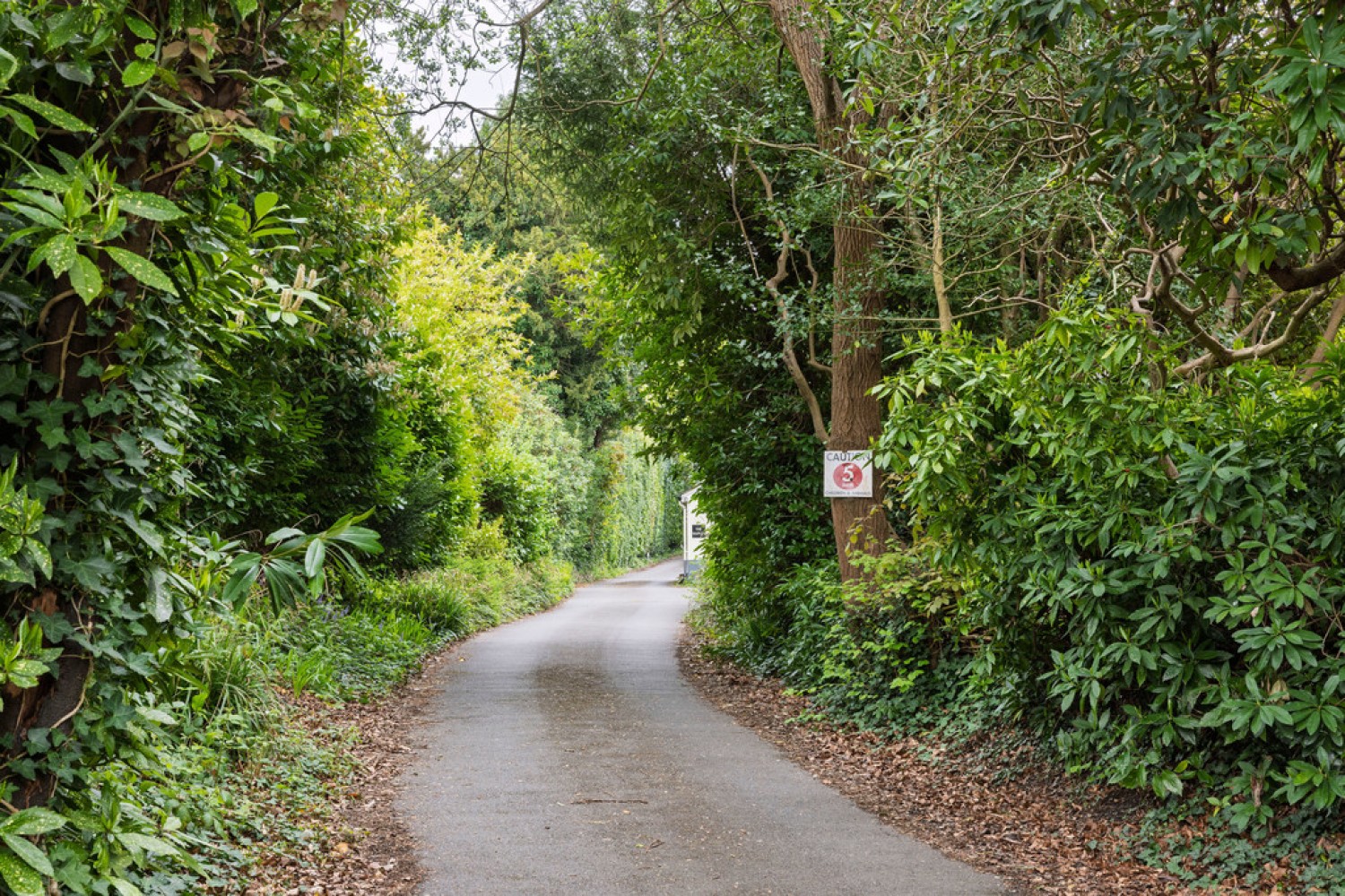 Broadwater Down