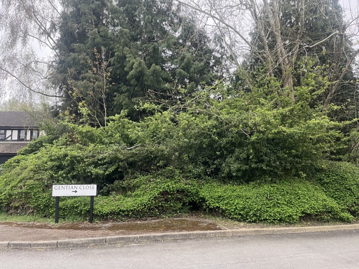 Weavering, Maidstone, Kent