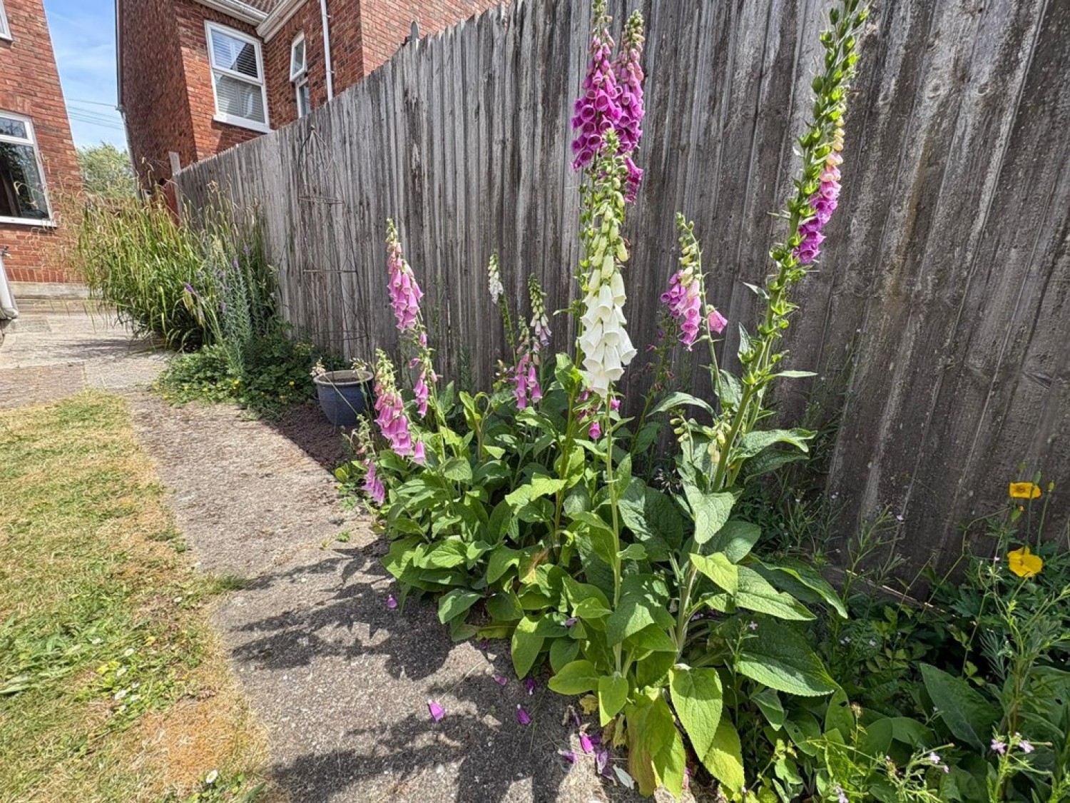 3 bedroom House for Sale Nursery Road, Tunbridge Wells