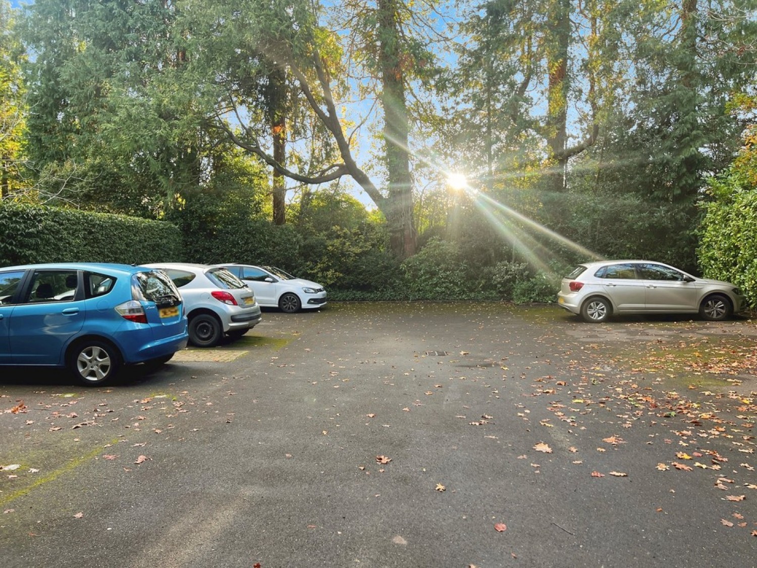 1 bedroom Flat for Sale Broadwater Down