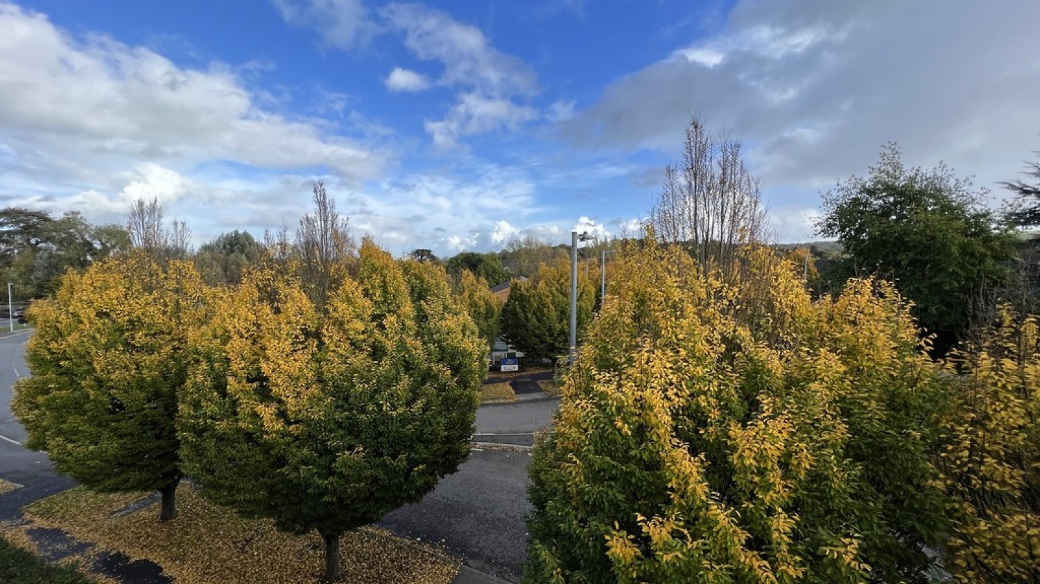 2 bedroom Flat for Letting Leigh Park Court, Westbury, Wiltshire