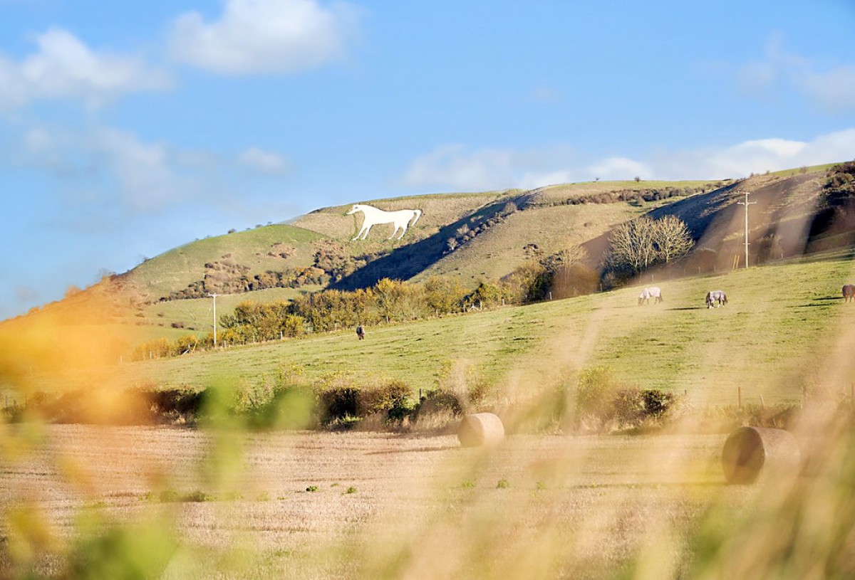 The Tynings, Westbury