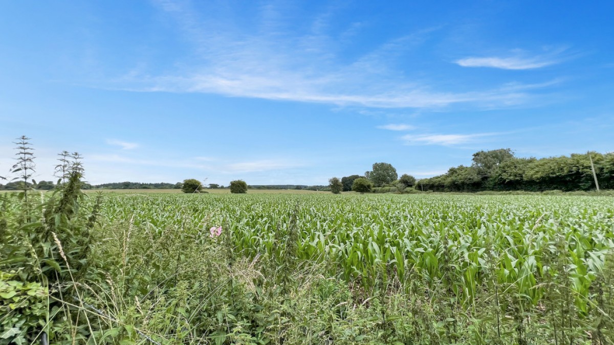 Rye Hill, Longbridge Deverill