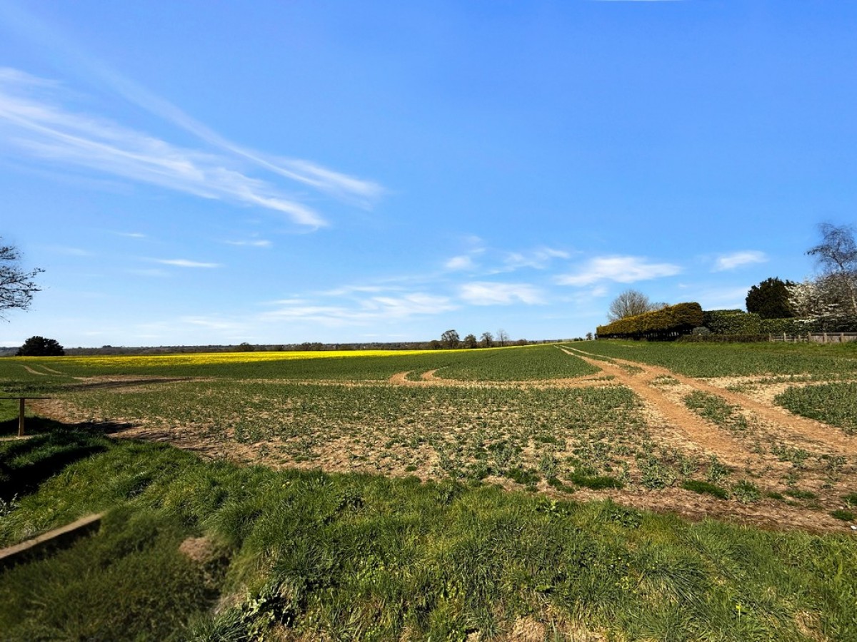 Shepherds Mead, Dilton Marsh