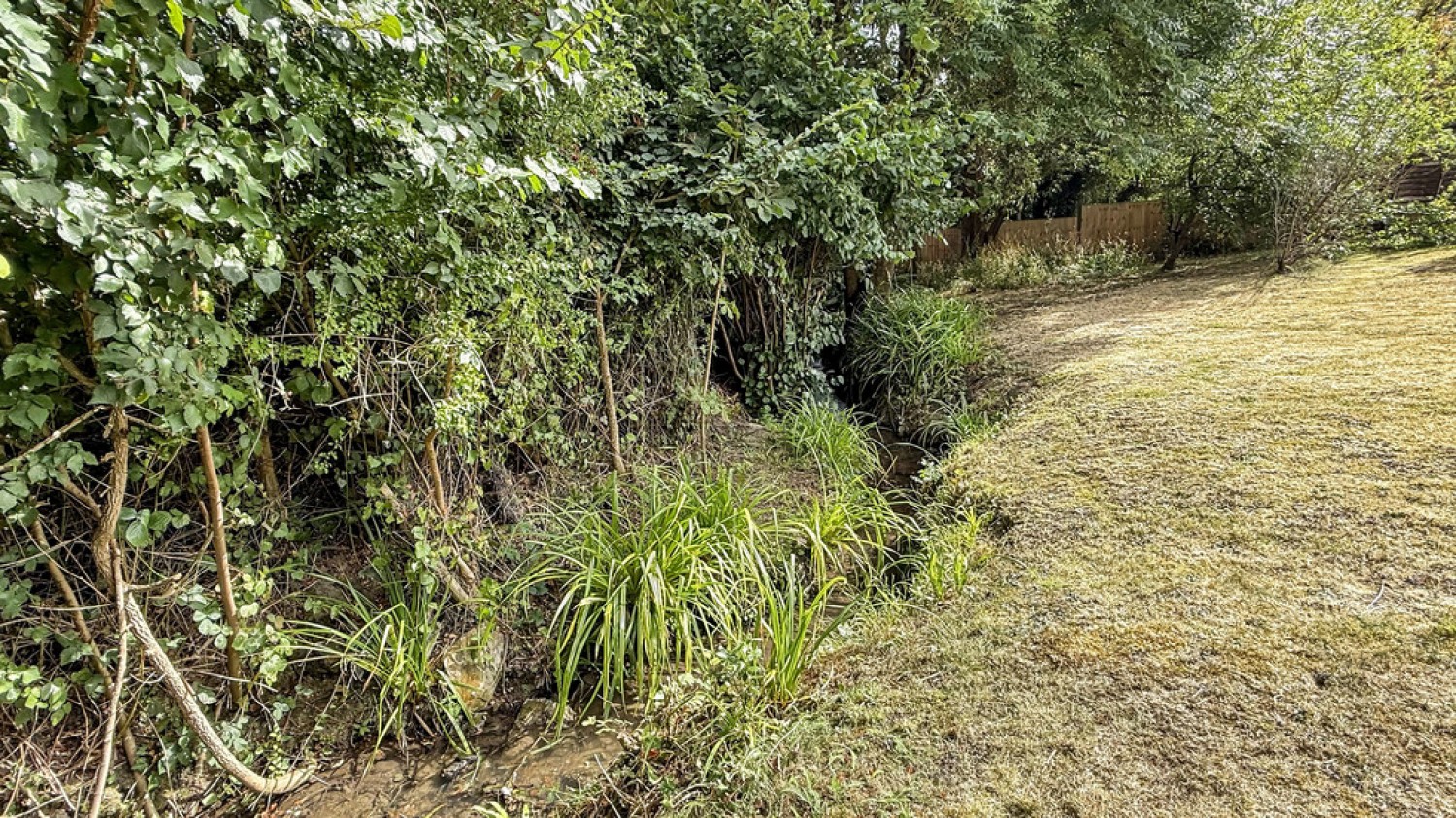 Clearwood, Dilton Marsh