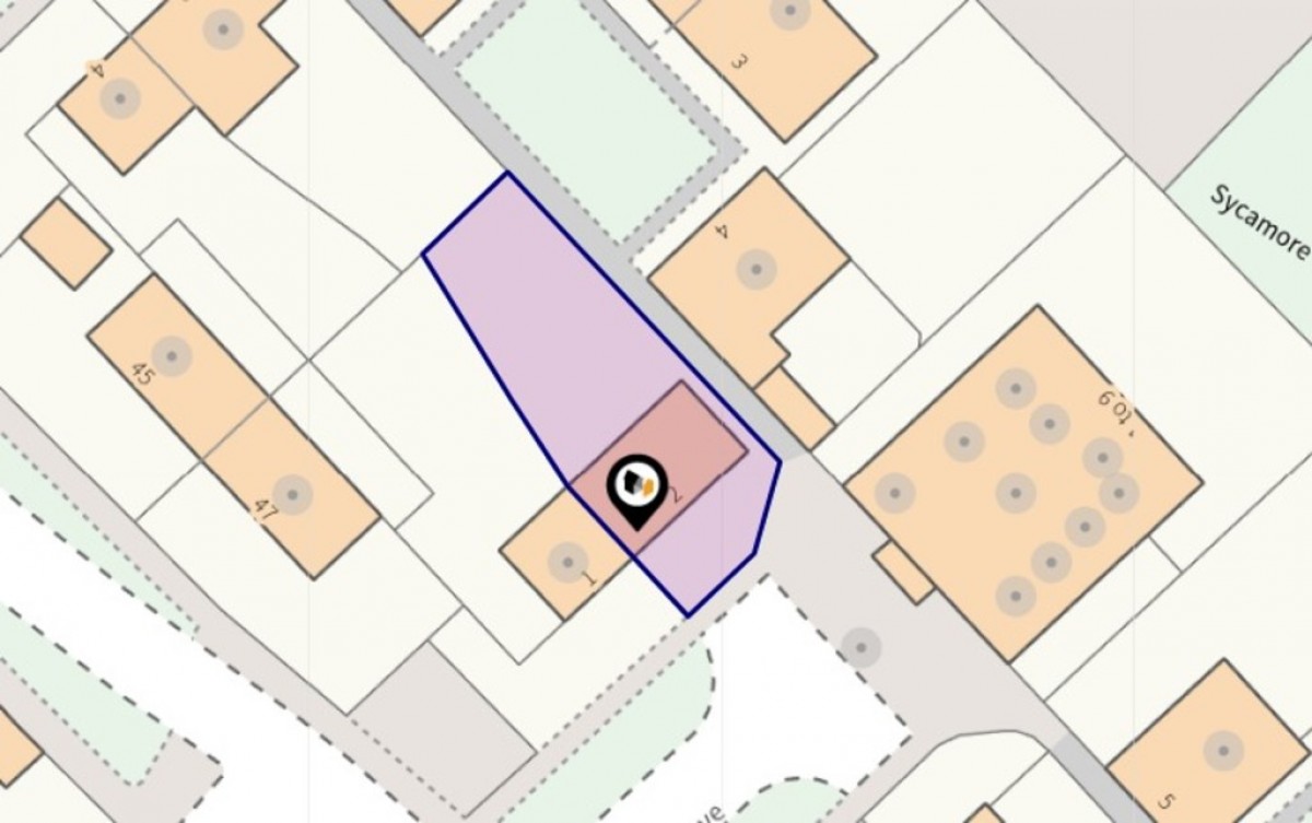 Sycamore Grove, Westbury