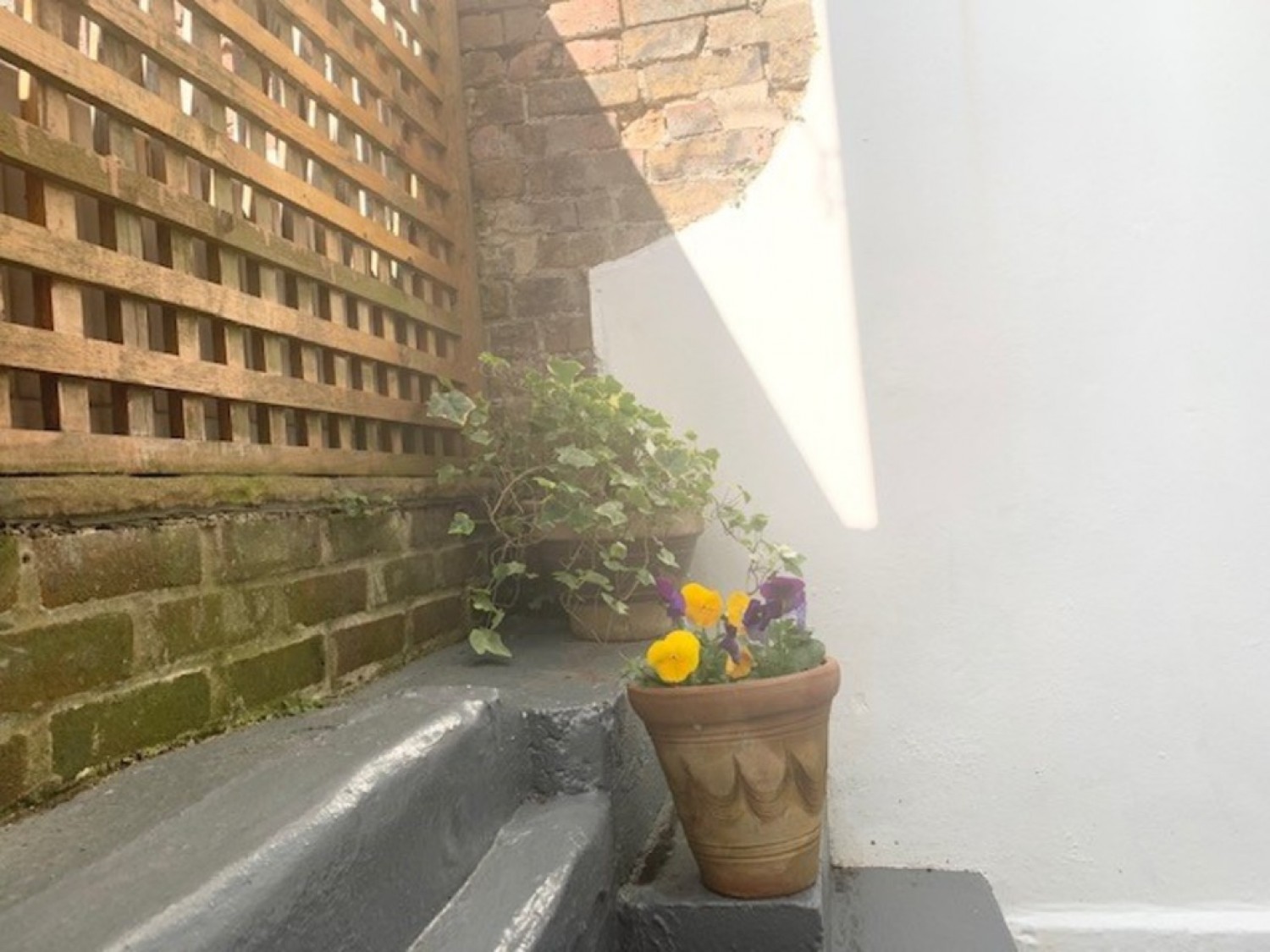 Lansdowne Street, Brighton