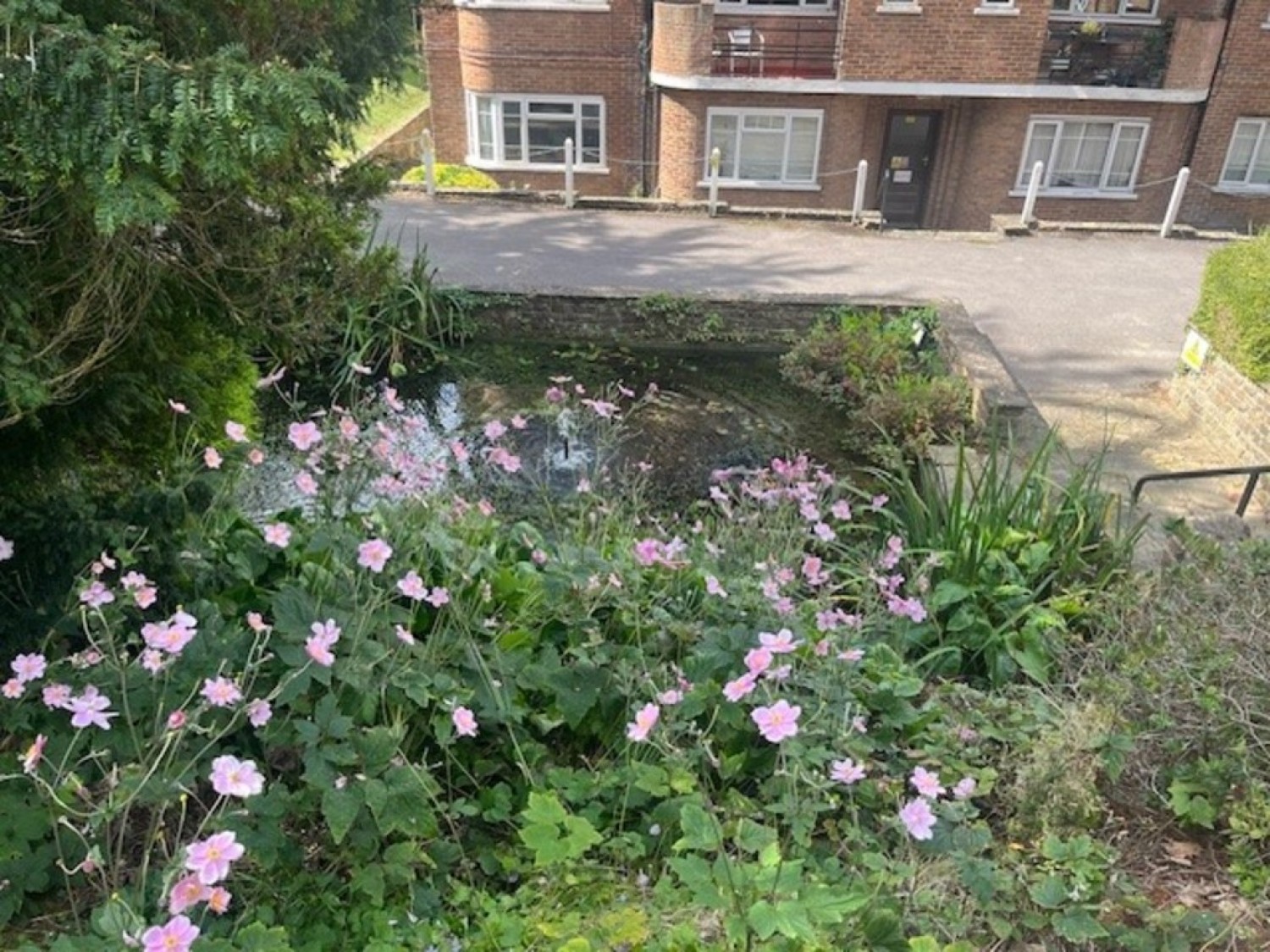 1 bedroom Flat for Letting Withdean Court, Brighton